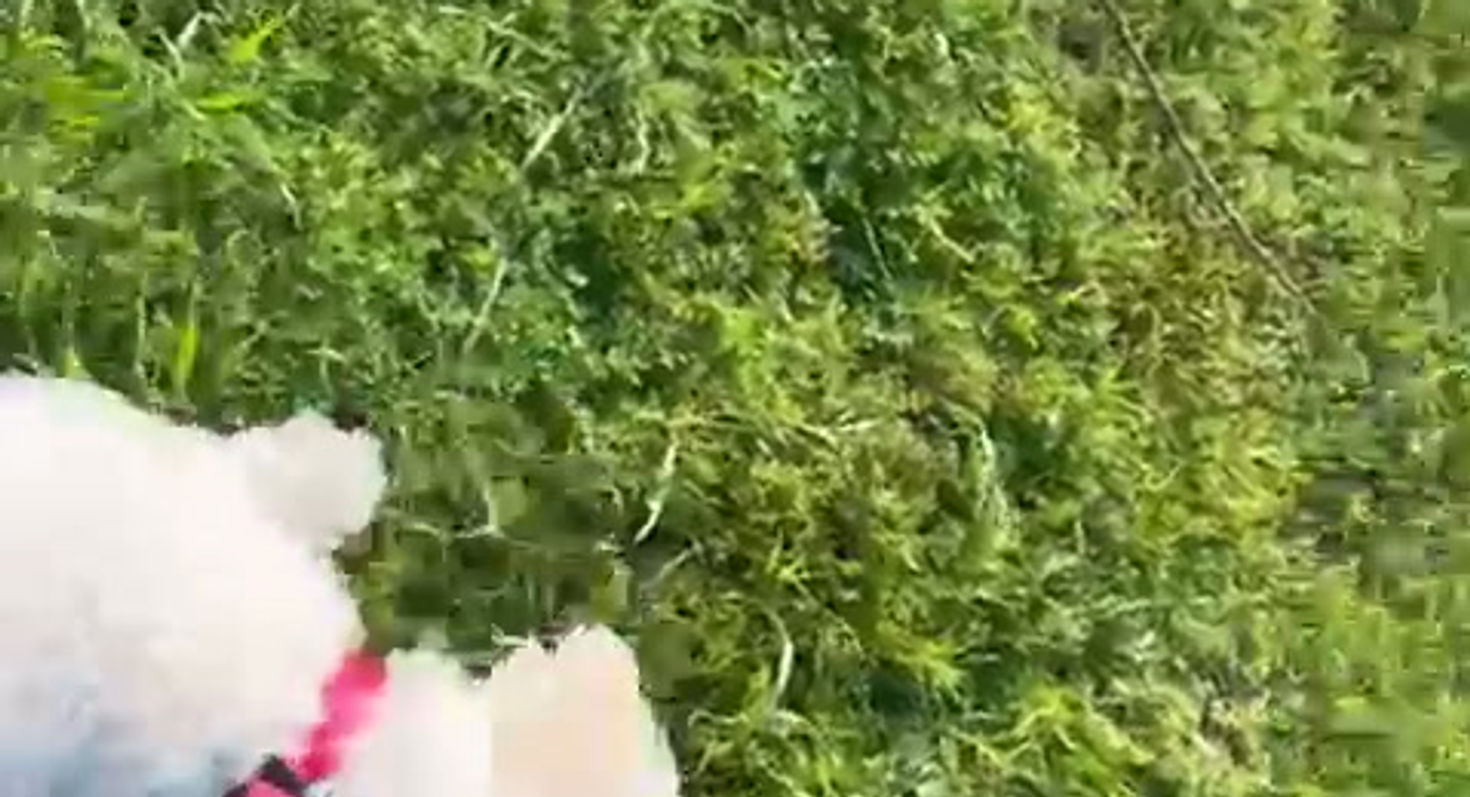 WhatsApp Video 2026-03-30 at 08.34.34